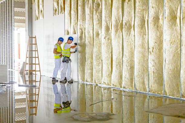 Best Insulation Installation Services in Oakland, IA